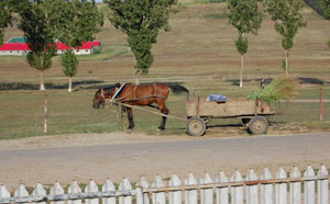 2010 juli rots boerderij met paard.jpg